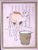 Cecil Aldin Antique Zoo Babies Scarce Illustration “The Baby Camel”-14