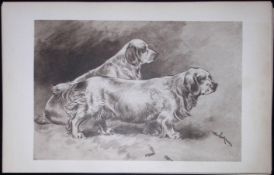 Pair Clumber Spaniels Antique Book Plate Rawdon Lee Modern Dogs 1906-63
