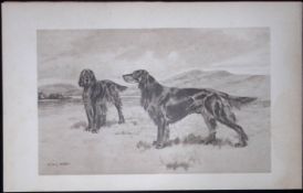 Gordon Setters Antique Book Plate Rawdon Lee Modern Dogs 1906-59