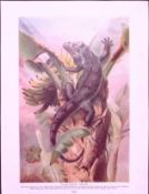 Black Tailed Iguana & Water Monitors Antique Double-Sided Colour Plate-6