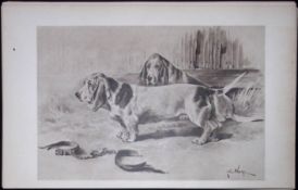 Pair Basset-Hounds Antique Book Plate Rawdon Lee Modern Dogs 1906-65