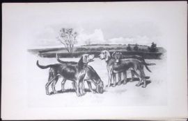 Kerry Beagles Antique Book Plate Rawdon Lee Modern Dogs 1893-27