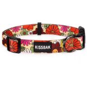 67 x Dog Collars - Assorted Sizes Total RRP £590.59