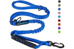 10 x Bungee Dog Leash/Buckle L13c