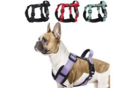 6 x Small Dog Harness