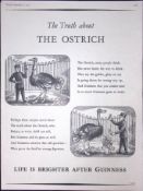 Guinness 68 Years-Old Advert 1957 The Ostrich Print: G.E.2787.