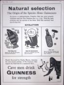 Guinness 67 Years-Old Advert 1958 Natural Selection Print: G.E.3091-D.