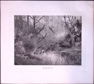 Fox On The Prowl Rare Limited-Edition Antique Print-50.