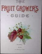 Strawberries, Alpine Front Cover The Fruit Growers Guide Antique Print-49