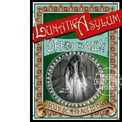 Victorian Life Of The Insane The Lunatic Asylum Metal Wall Art