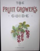 Berberries Frontpiece To Antique Fruit Growers Guide 1894-1894 -41