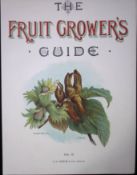 Kentish Cob-Nuts Frontpiece To Antique Fruit Growers Guide 1894-1894 -42