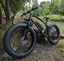 E-Bike Liquidation