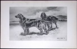 Irish Setters Antique Book Plate Rawdon Lee Modern Dogs 1893-38