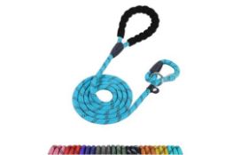 5 x Slip Lead For Dogs - 1.8m