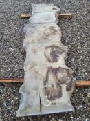 Hardwood Seasoned Sawn Pippy Waney Edge / Live Edge Oak Slab / Table Top