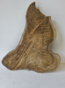 Hardwood Kiln Dried Sawn Burmese Teak Cookie / Crosscut