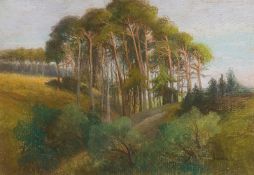 HERMINE VON JANDA (Klosterbruck bei Znaim 1854 - 1925 Klosterbruck bei Znaim)