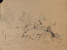 EMILIE MEDIZ-PELIKAN (Vöcklabruck 1861 - 1908 Dresden)