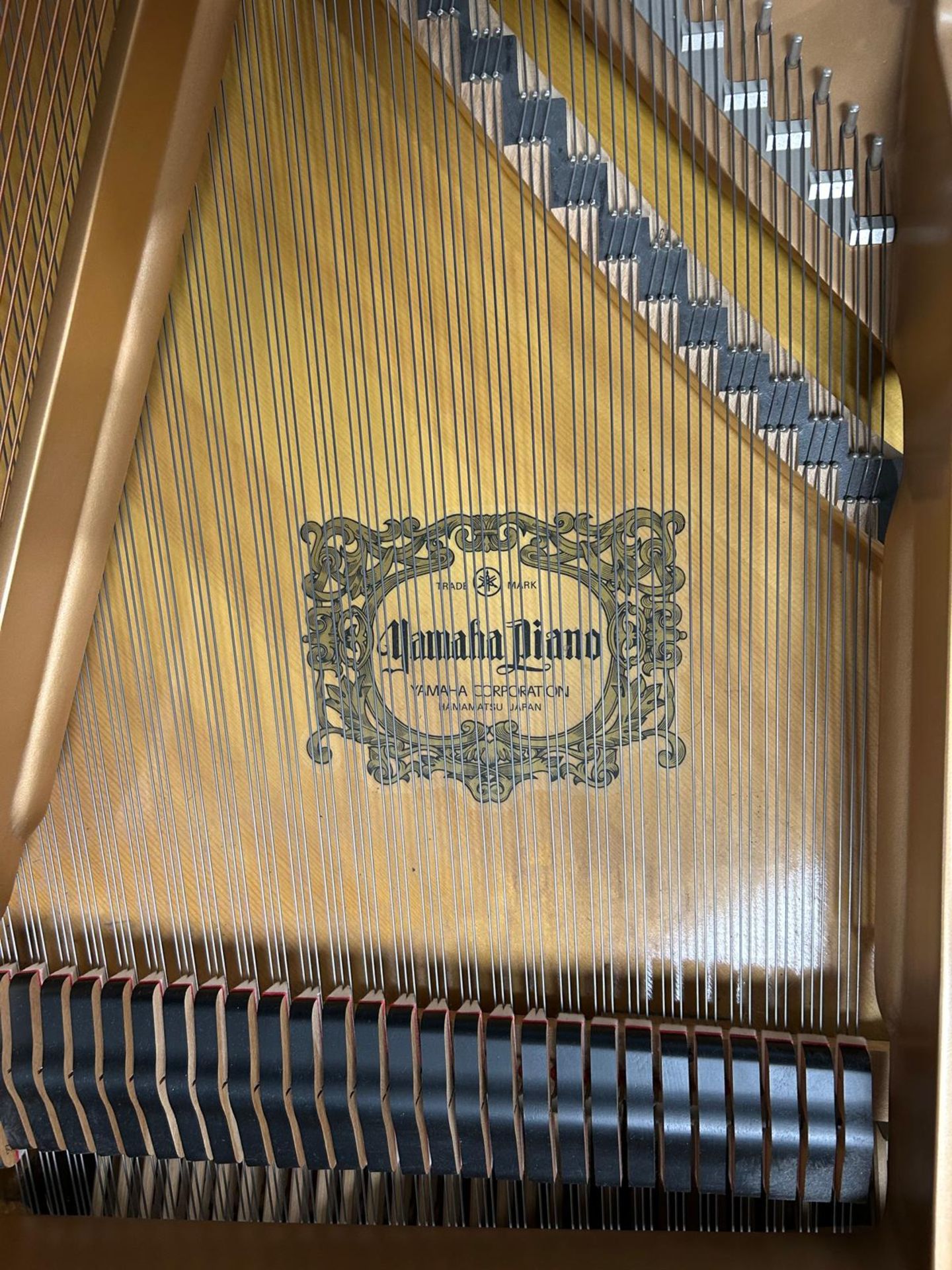 Flügel "C3" (Yamaha) - Bild 12 aus 17