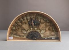 Fächer in Präsentationskasten (19./20. Jh.)