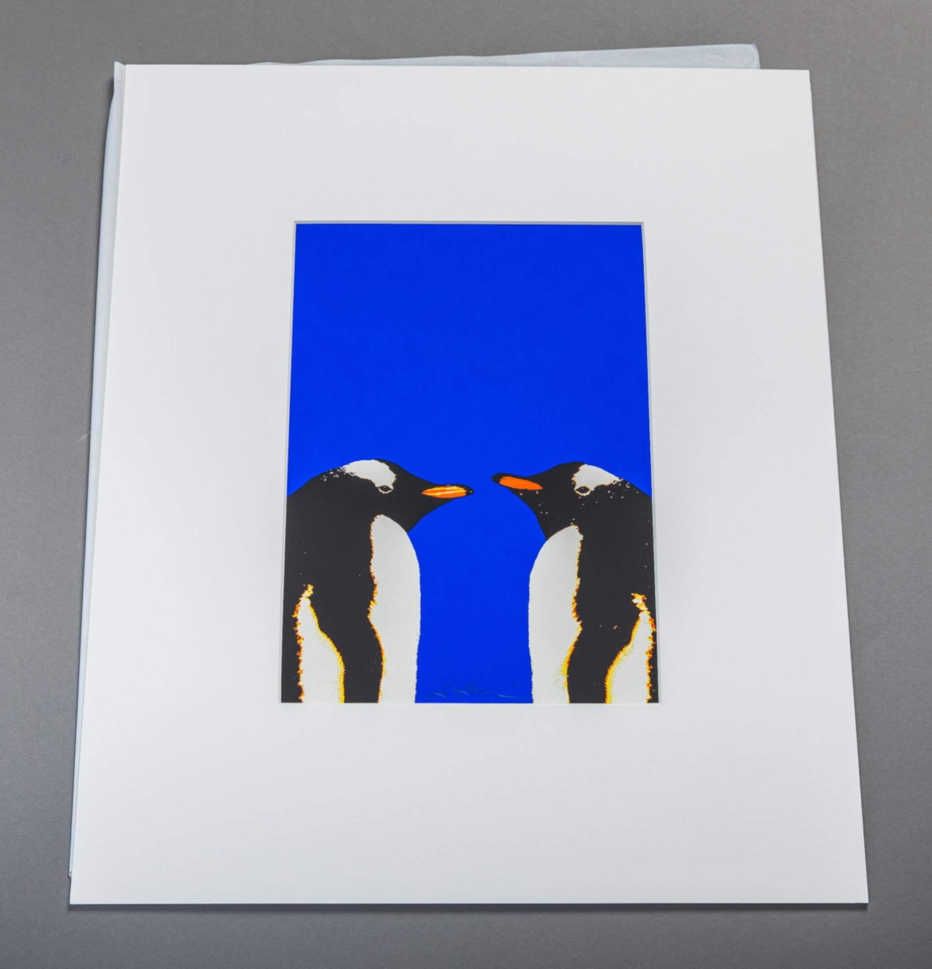 Dobocan, Dorél (geb. 1951), Pinguine