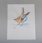 Bettag, Franz-Joseph (geb. 1959), Braunkehlchen