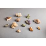 12-teiliges Konvolut von natürlichen Kristallen und Mineralen