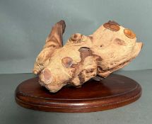 An ornamental piece of driftwood on plinth