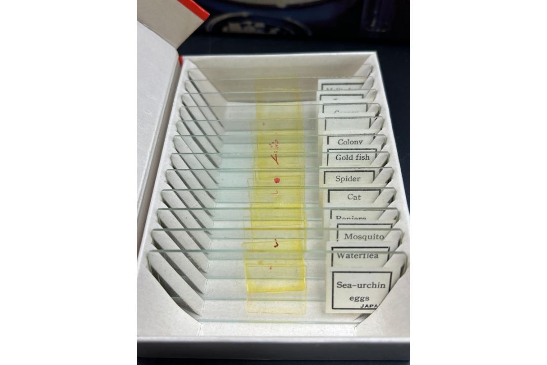 A Thomas Salter Microscope Lab $ along with several boxes of slides, including prepared slides of - Image 3 of 3