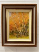 An oil on canvas of a forest scene by Anita Skinner signed lower right 49cm x 59cm