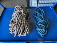 2 x Climbing Ropes