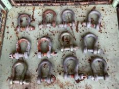 12x D Shackles