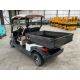 2019 Eagle Electric 2 Seat Buggy with Transport Rear Body - Image 8 of 13