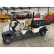 2019 Eagle Electric 2 Seat Buggy with Transport Rear Body - Image 1 of 13