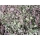 1x Stillage of Woodland Camo Netting, from MOD Reserve Stock - Image 3 of 3