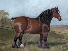 Frederick Albert Clark (1869-1954), EQUINE STUDY, oil on board, framed, signed bottom right, 50 x 60