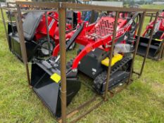 AGT YRST14 Stand On Dingo