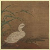 Malerei, China, Ente