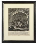 Ridinger, J.E., Leopard mit Esel, R.