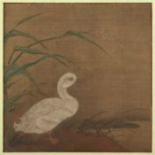 Malerei, China, Ente