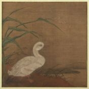 Malerei, China, Ente
