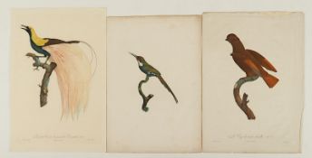 Konvolut Jacques Barraband, 3x