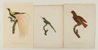 Konvolut Jacques Barraband, 3x