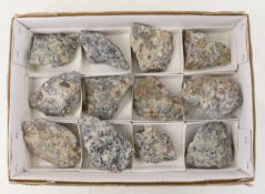 12 Specimens Raw Corundum Crystals in Gneiss Stone