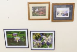 2 Framed Floral Photos & 2 Framed Prints