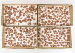 Collection of Moroccan Star Aragonite Crystals