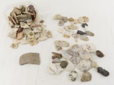 Collection of Broken Points & Flakes