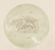 Vintage Pig/Hog Sulphide Marble, 1 7/16