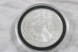 2013 Silver Eagle 1 Troy Oz .999 Pure Silver